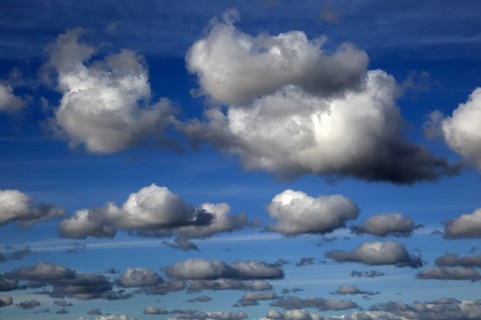 Cumulus clouds in blue sky over Bawdsey and Alderton, Suffolk, England, UK