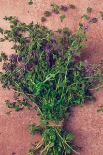 Bouquet of herb ombalo, marsh mint, bunch of mint, top view, on a brown background, spice, Georgian