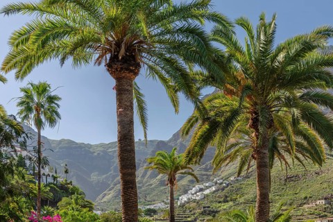 Valley of Agaete, Barranco de Agaete, Agaete, Gran Canaria, Canary Islands, Spain, Agaete, Gran