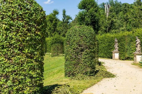 The Grosssedlitz Baroque Garden with the Friedrich Palace is situated on a hill on the left bank of