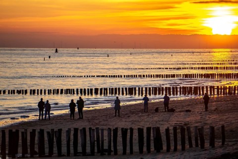 Sunset on the beach of Zoutelande, beach with wooden pile breakwaters, Zeeland, Netherlands