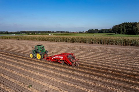 Potato harvest, so-called split harvesting method, first the tubers are taken out of the ground