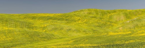 Landscape around Pienza, Val d'Orcia, Orcia Valley, UNESCO World Heritage Site, Province of Siena,