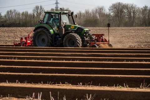 A farmer builds asparagus ridges on a field with the help of an asparagus tiller, in which the