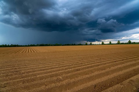 Dark rain clouds, thunderclouds over a potato field, near Grevenbroich, North Rhine-Westphalia,