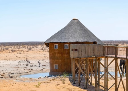 Olifantsrus waterhole with lookout tower and footbridge, Two spikebucks (Oryx gazella) in dry