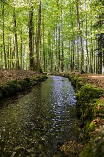 Stream and hiking trail in the forest, Heidenwuhr, Rickenbach, Hotzenwald, Southern Black Forest,