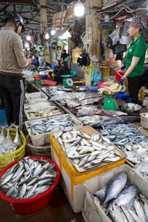 Fresh fish for sale, Cat Ba town market, Cat Ba Island, Halong Bay, Vietnam, Asia