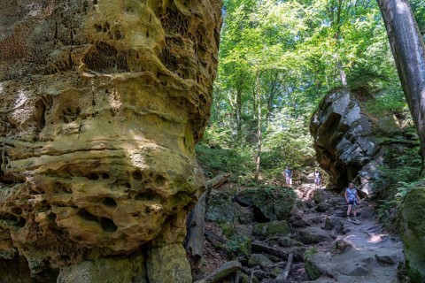 Path to the Devil's Gorge, near Irrel, Southern Eifel nature park Park, Rhineland-Palatinate,