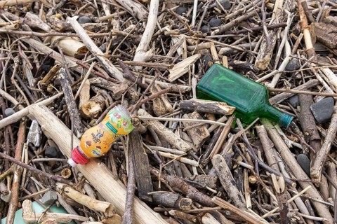 Symbolic image environmental pollution, plastic waste, rubbish, flotsam from a flood on the Neckar