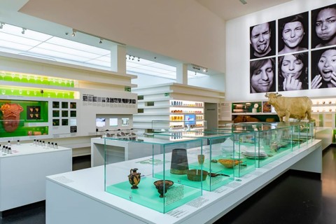 Founded in 1912, the Deutsches Hygiene-Museum is a museum in Dresden. It sees itself as a public