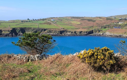 South Harbour bay, Cape Clear Island, County Cork, Ireland, Irish Republic, Europe