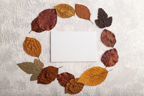 Wreath circle composition with yellow and brown autumn leaves and white business card, round frame