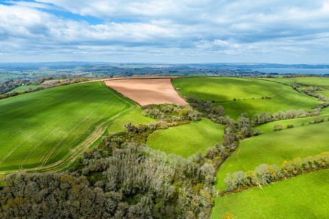 Forest, Farms and Farms over Long Wood and River Dart from a drone, Dartmouth, Kingswear, Devon,