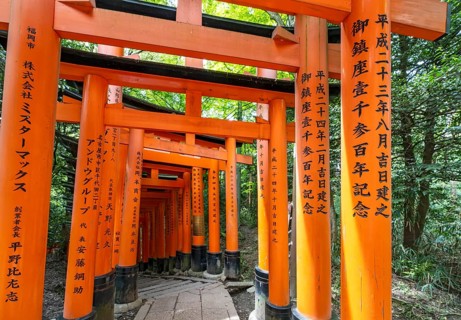 Torii path, Fushimi Inari-Taisha shrine, Kyoto, Japan, Asia