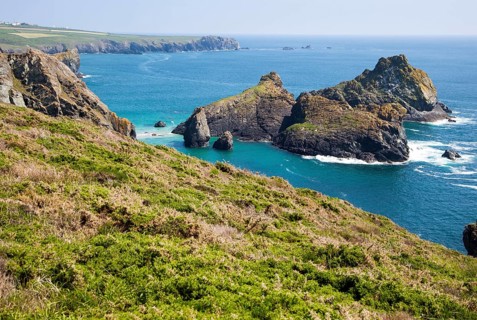 Coastal scenery, near Kynance Cove, Lizard peninsula, Cornwall, England, UK, Gull Rock and The