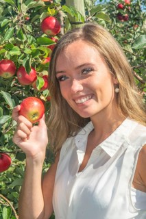 Young attractive blonde smiling woman picking apple in Scania fruit district, Kivik, Österlen,