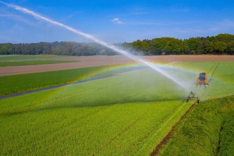 Irrigation of a wheat field on the Lower Rhine, with a mobile irrigation machine, large-area