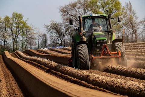 A farmer builds asparagus ridges on a field with the help of an asparagus tiller, in which the