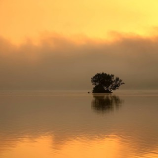 Sunrise at the Edersee with morning mist on the water, small island in the Eder dam, Ederstausee,