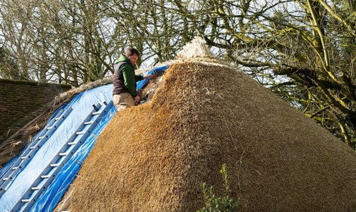 Thatcher working on roof of house, Alton Priors, Wiltshire, England, UK
