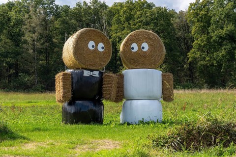 Straw bale dolls, figures, as wedding couple, in front of a house near Arcen, Netherlands,