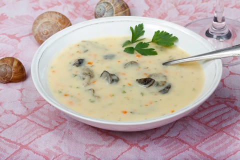 Baden cuisine, snail soup, typical Baden, vineyard snail shell, snail shells, parsley, spoon, soup