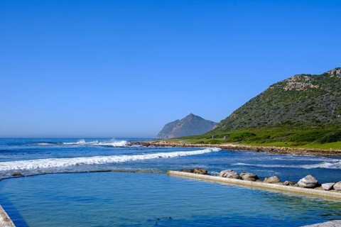 Tidal Pool, Buffels Bay, Cape of Good Hope, Cape Peninsula, Western Cape, South Africa, Africa