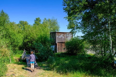 Am Torfwerk, Pfrunger-Burgweiler Ried nature reserve, Wilhelmsdorf, Baden-Württemberg, Germany,