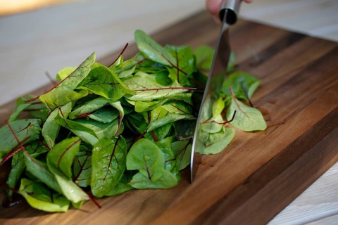 Southern German cuisine, preparation of sorrel soup with char, blood sorrel (Rumex sanguineus),