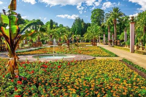 Palm garden in the spa gardens, the largest outdoor palm garden north of the Alps, spa town of Bad