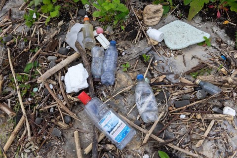 Symbolic image environmental pollution, plastic waste, rubbish, flotsam from a flood on the Neckar