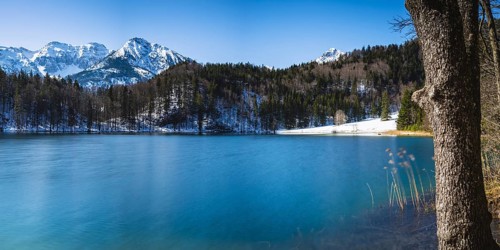 Alatsee, Ostallgäu, Allgäu, Swabia, Bavaria, Germany, Europe