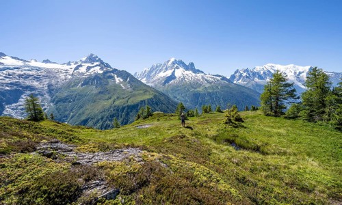 Mountaineer in front of a mountain panorama with glaciated mountain peaks, Aiguille Verte with