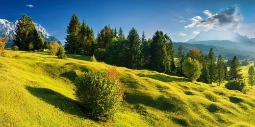 Humpback meadows between Mittenwald and Krün, Werdenfelser Land, Upper Bavaria, Bavaria, Germany,