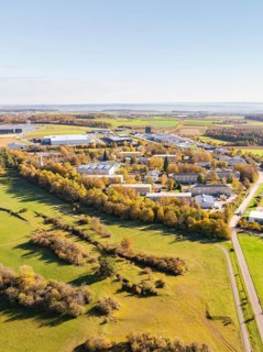 Panoramic view of an industrial area, surrounded by fields and autumnal forest, high ropes course,