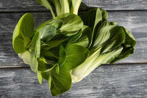 Fresh green bok choy or pac choi chinese cabbage on a gray wooden background. Hard light, contrast.