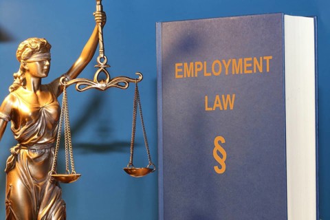 Symbolic image: Reference book Employment law (labour law) and a Justitia