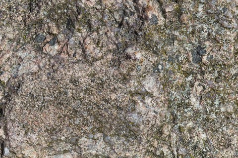 Texture of a boulder with moss and lichen