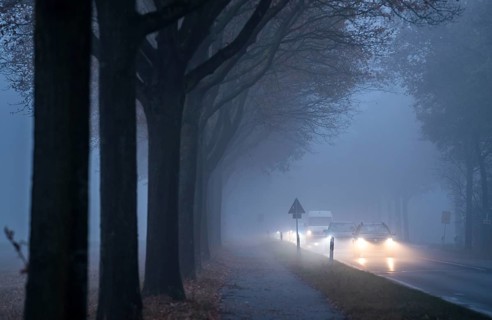 Country road B 57 near Erkelenz, autumn, fog, rainy weather, tree-lined avenue, wet road, North