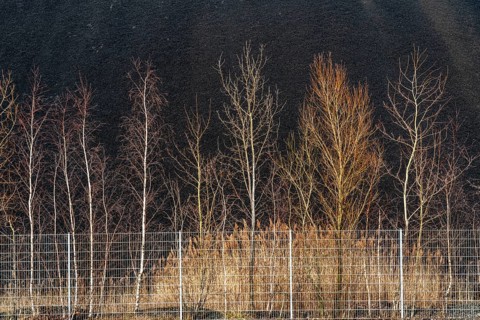 Coal stockpile, coal store, steam coal, for the STEAG Herne thermal power station, on the