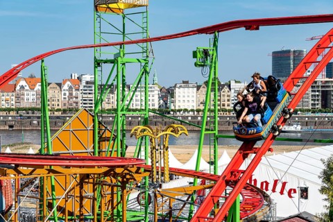 The Rhine Fair in Düsseldorf, in the Rhine meadows in the Oberkassel district, on the Rhine, Wild