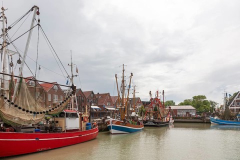 Cutter harbour Neuharlingersiel, shrimp cutter, East Frisia, Lower Saxony, Germany, Europe
