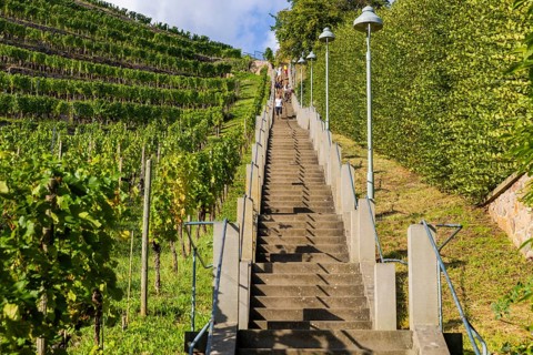 The Spitzhaus staircase is located in the Saxon town of Radebeul. It connects the Hoflößnitz