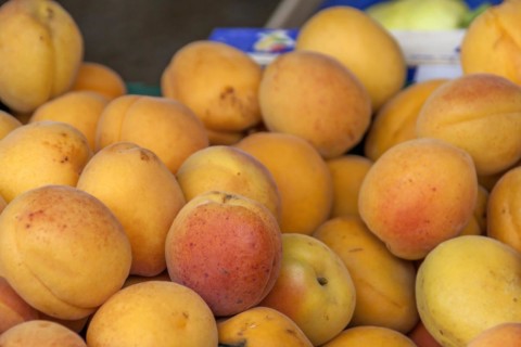 Apricots for sale on a market stall, Brittany, France, Europe