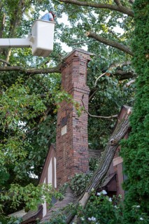 Detroit, Michigan, A storm with 70mph wind gusts blew down a 15-ton, 110-foot cottonwood, damaging