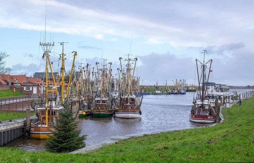 Crab cutter in the harbour of Greetsiel, the largest cutter fleet in East Frisia, Greetsiel, East