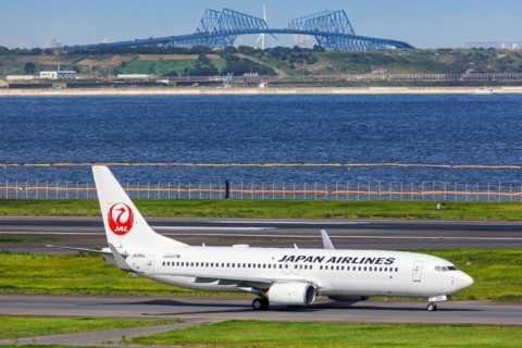 A Boeing 737-800 aircraft of Japan Airlines JAL with the registration JA308J at Tokyo Haneda
