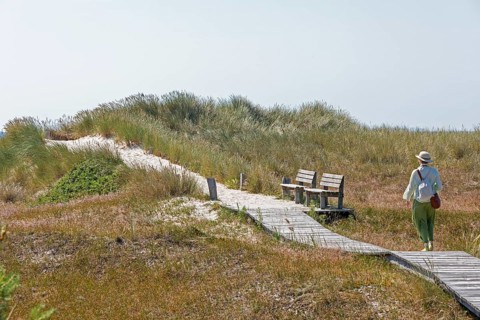 Wooden footbridge, benches, dunes, elderly woman, circular hiking trail, nature reserve, Darßer