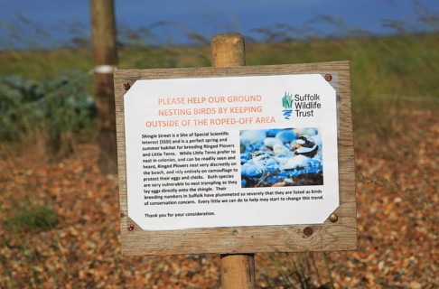 Suffolk Wildlife Trust sign about roped off nesting sites for birds, Shingle Street, Suffolk,